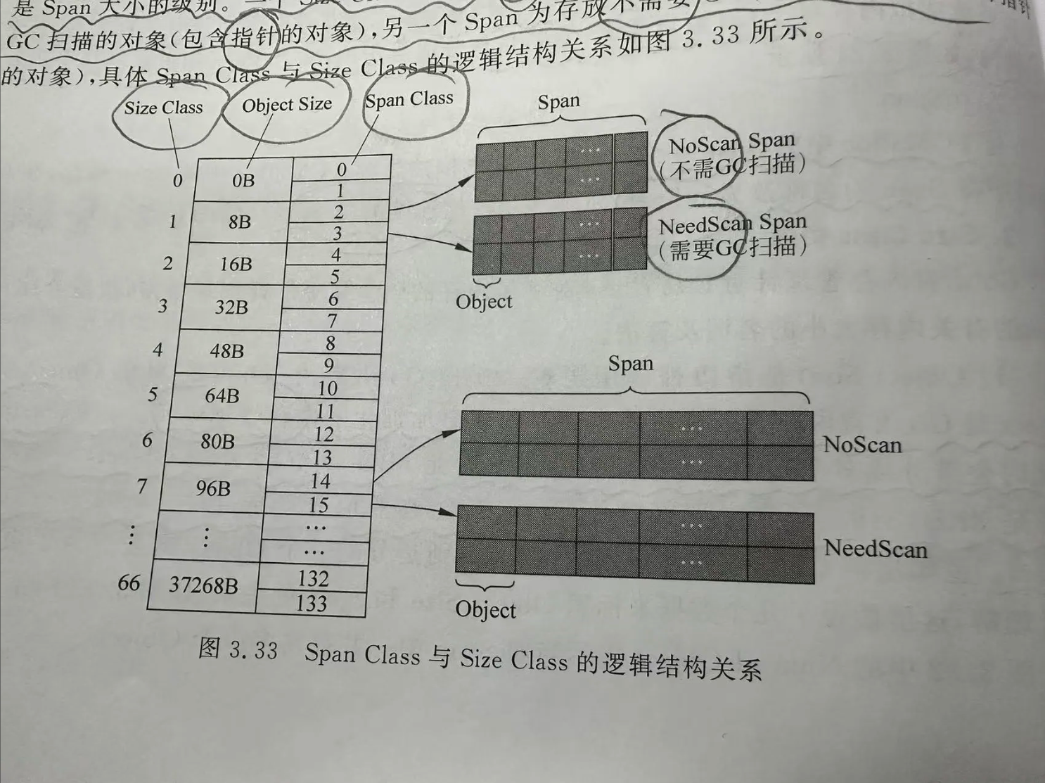 Span Class 与 Size Class 的逻辑关系