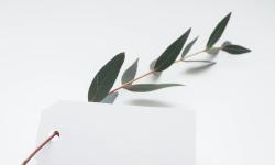 Featured image of post Mit lab3B个人笔记